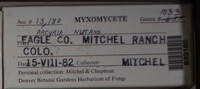 Image Associated With the Occurence